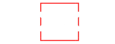 Global News TrendNetwork